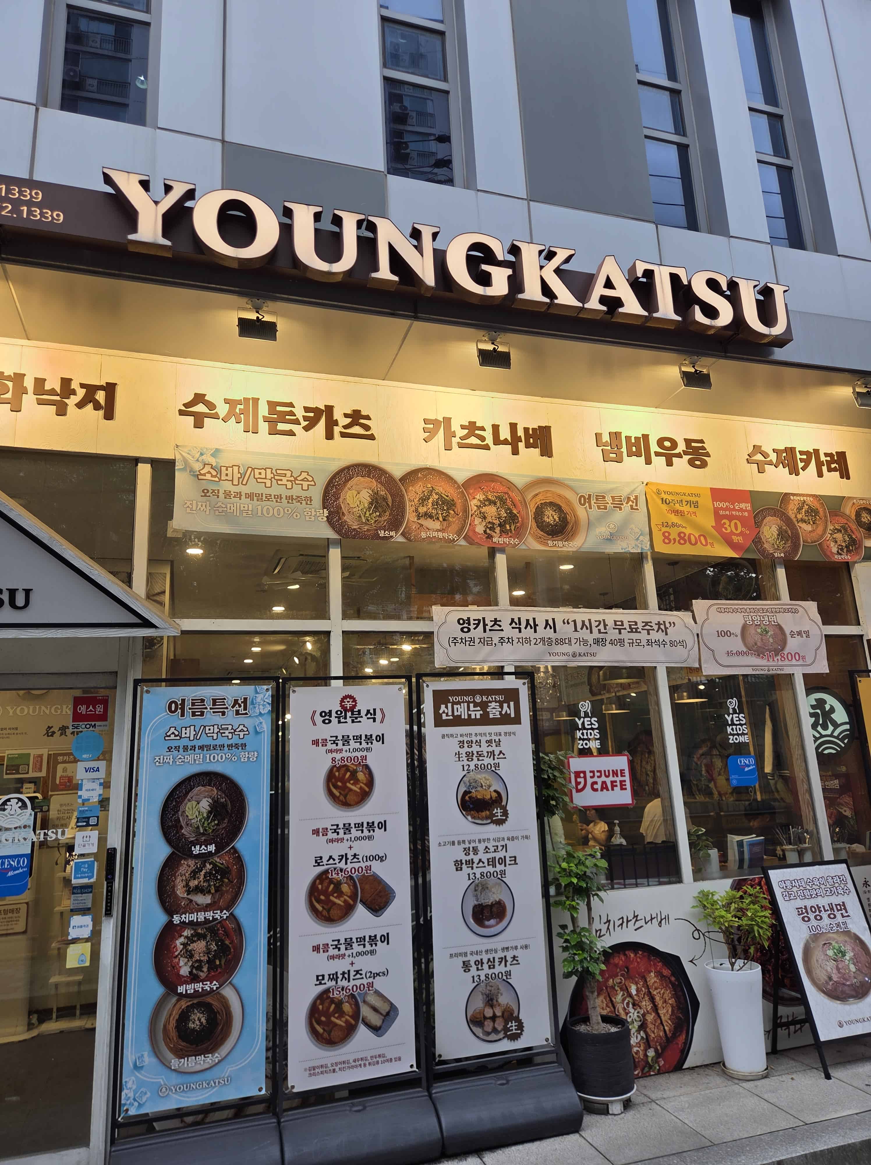 대치동 돈카츠 맛집 영카츠